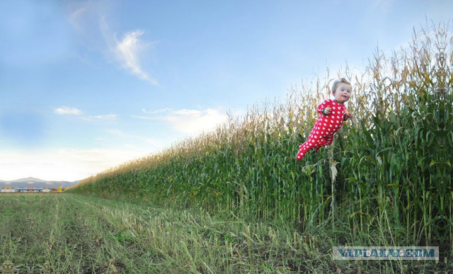 Отец сделал удивительную серию фотографий сына