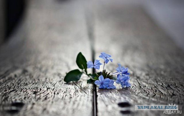 Вместе – мы сила