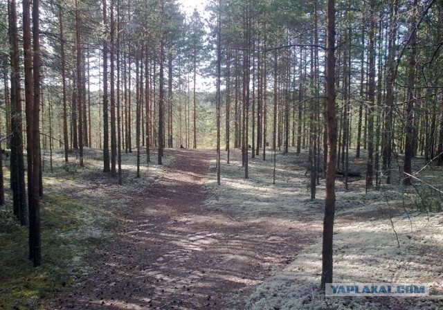 В дальнее замкадье и безасфальтье