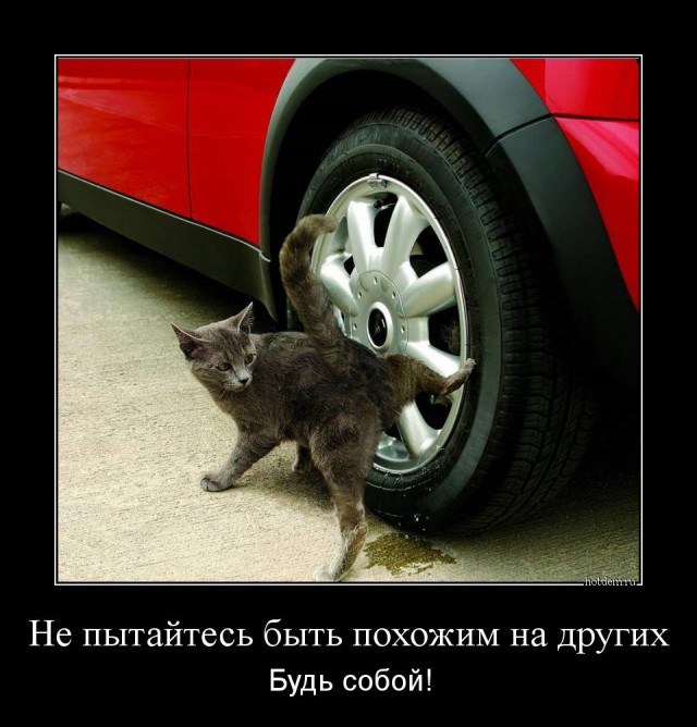 Демы без Темы