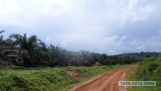 Отпуск в Африке, часть 2