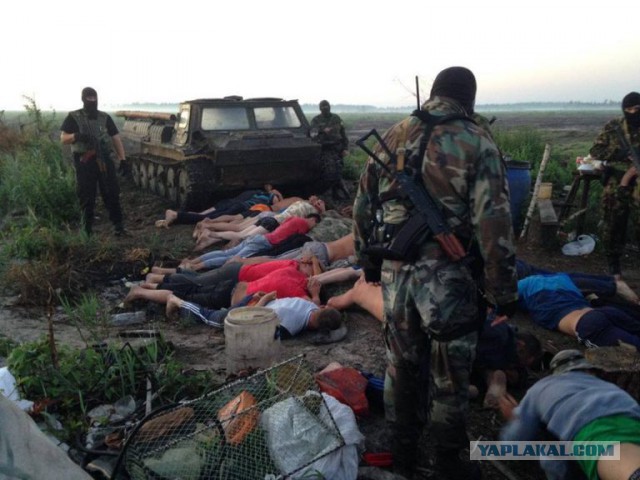 Восстание на Западной Украине давят бронетехникой, уже сбиты беспилотники Порошенко