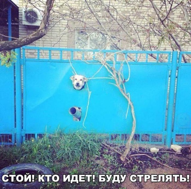 Всякие разные картинки