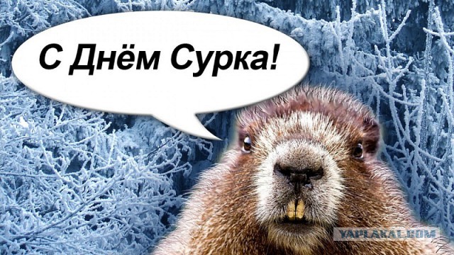 Каковы сейчас пределы необходимой обороны при попытке ограбления?