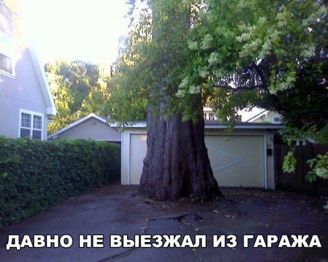 Подборка разного из сети