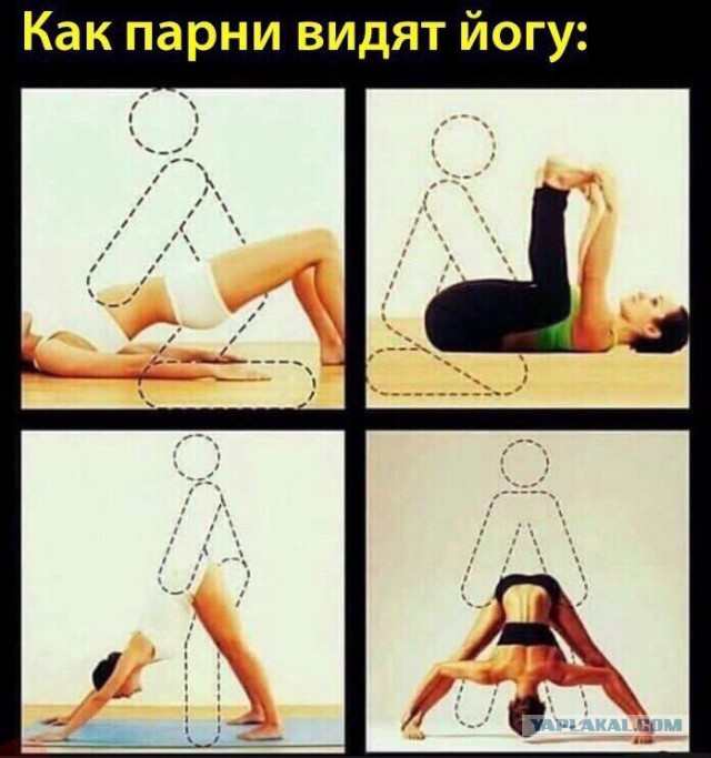 Картинки из ваших интернетов