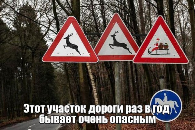 Подборка интересных и веселых картинок