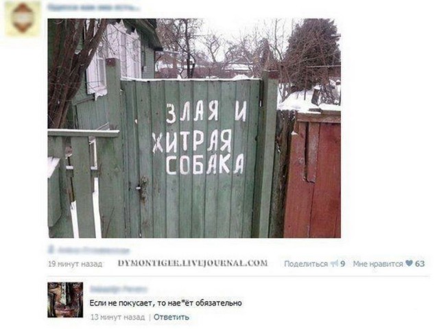 Скотсети и прочие интернеты 16.04.18