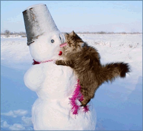 Любовь зла и... холодна