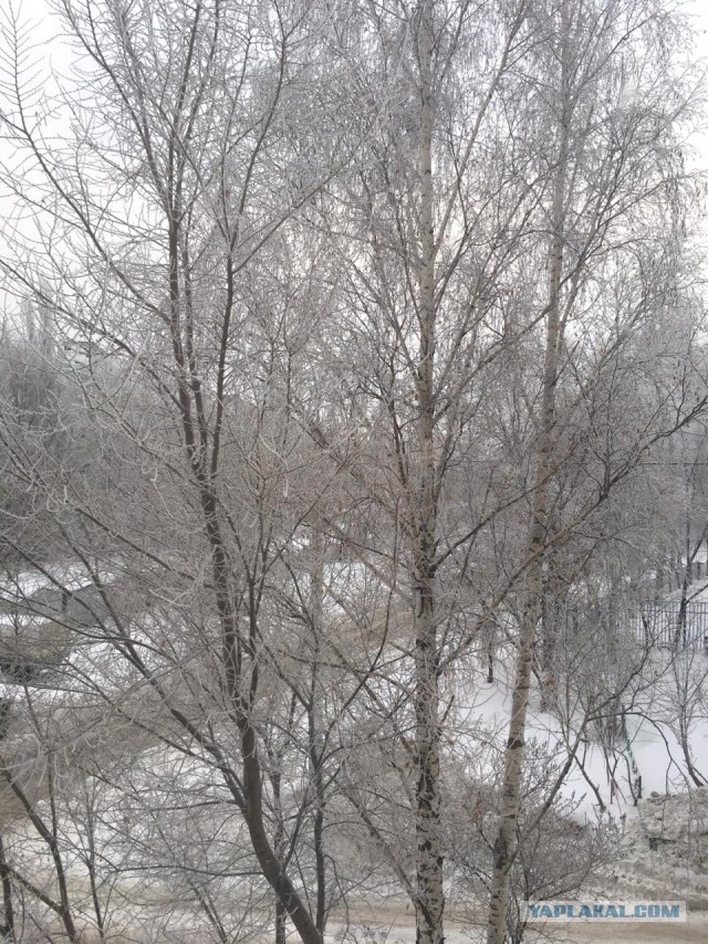 Новогодняя погода. У кого как, у нас вот