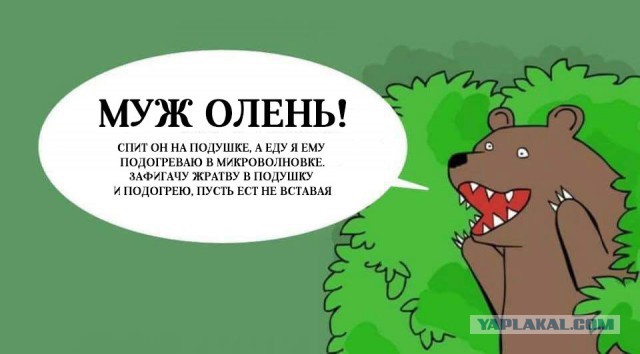 Глупые идеи, принесшие миллионы