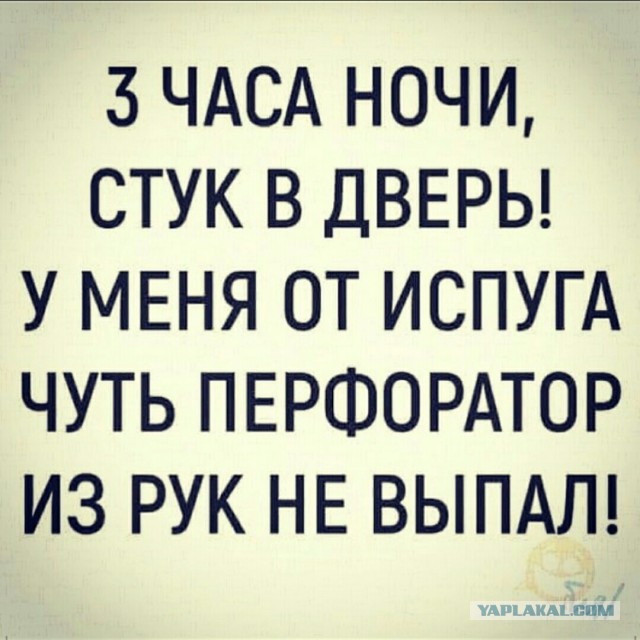 Соседи-чудаки