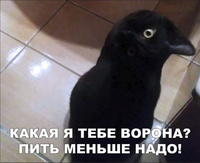 Нестандартный юмор
