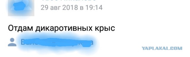 Маловироядно оринемировать, будьте снизходтэитеьрыми и соединим на борндершафт