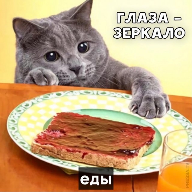 Картинки и мемы для настроения 008