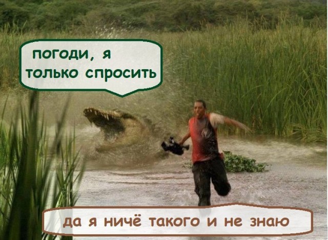 Картинки всякие 13.02.21