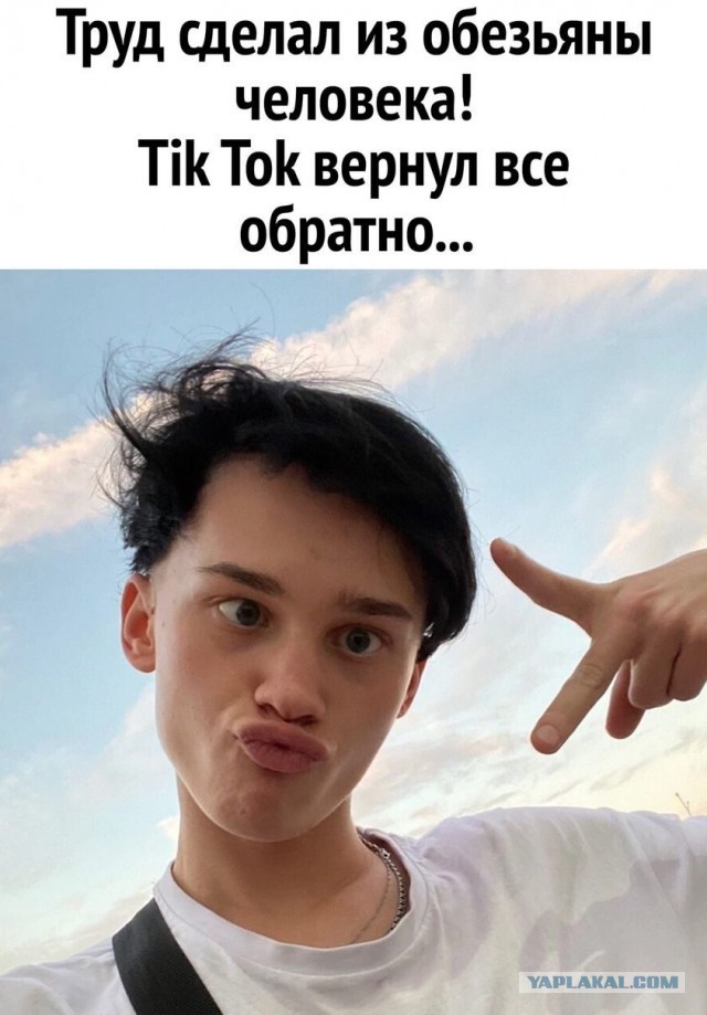 В - воспитание