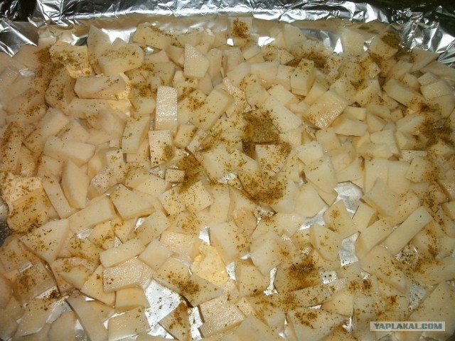 Пятничные посиделки на теплотрассе ©