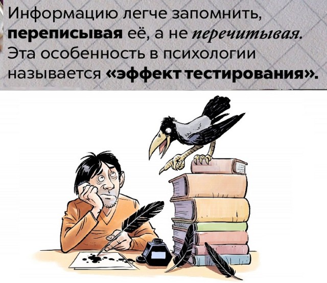 Занимательные факты о разном