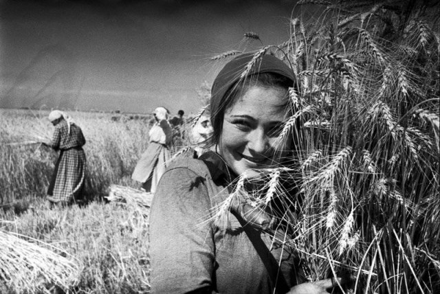 Просто старые фото - XXII. Чёрно-белая история