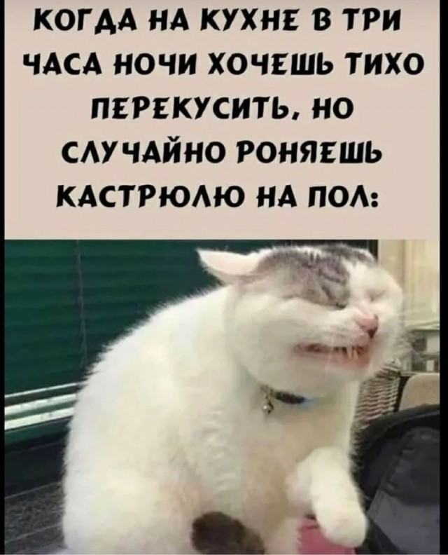 Юмор и прикольные картинки