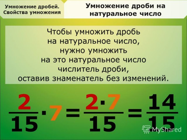 Весёлый полтишок 07.11