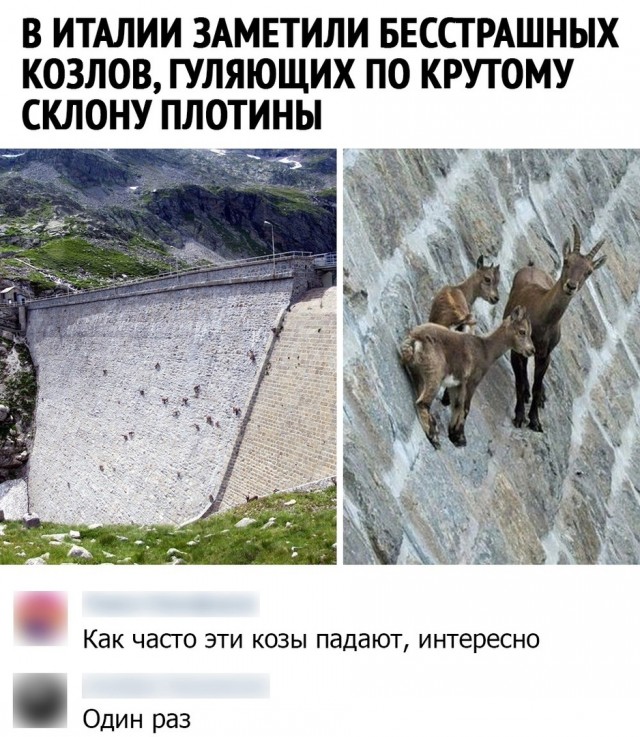 Так себе картинки 11.11.21