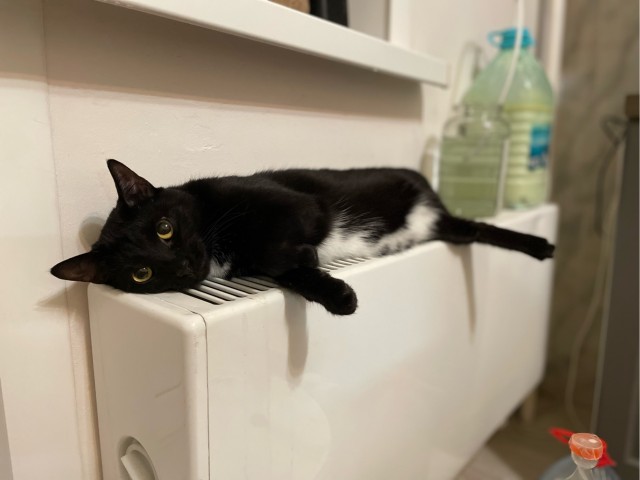 Котовторниковское