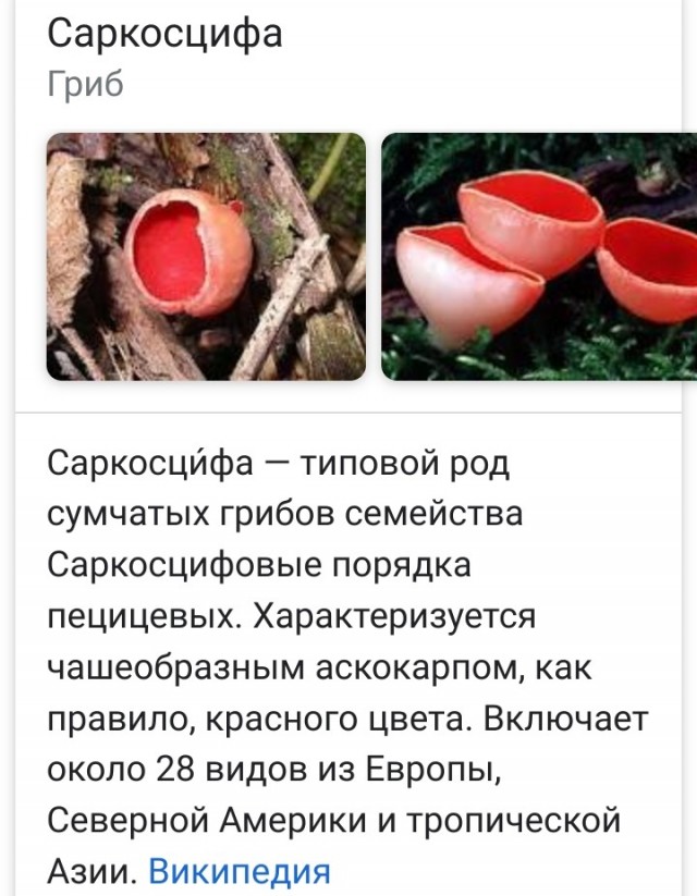 РСП