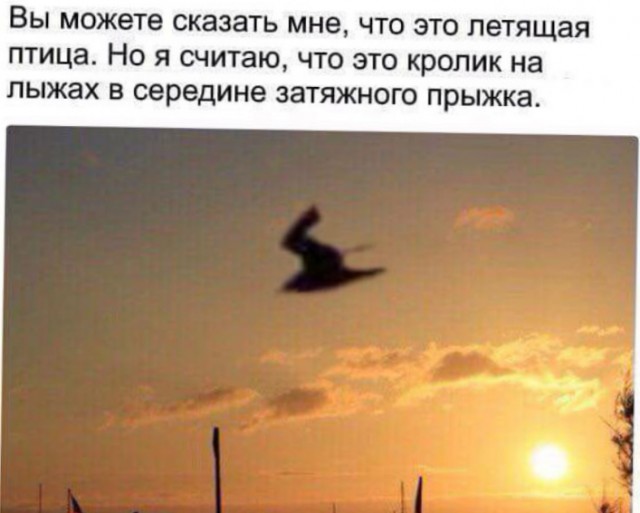 Немного баянов вам в ленту