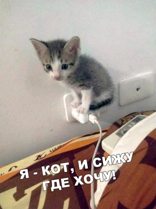 Так себе картинки 05.06.22