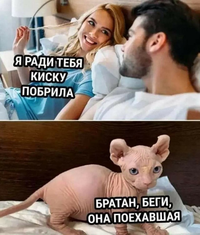Весёлый полтишок 29.06.22