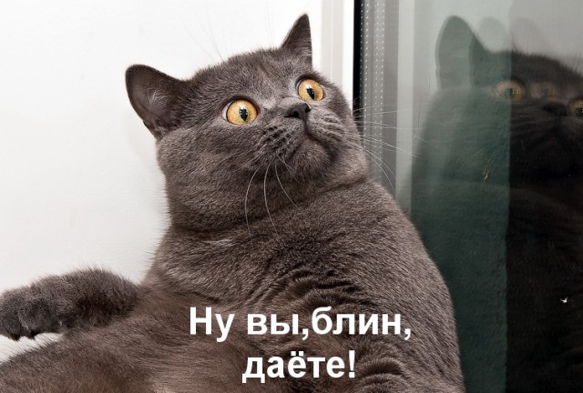 Меня бросил муж