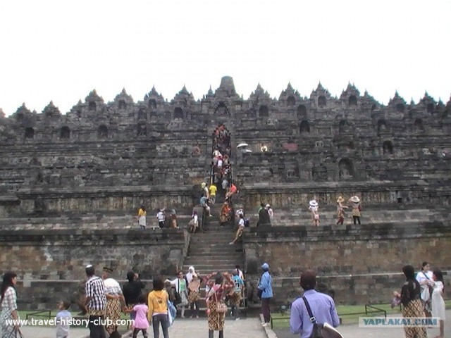 Они живут только 40 лет
