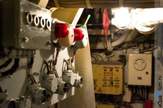 СПб глазами уставшего туриста...