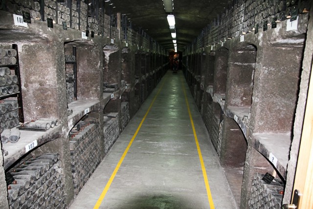 Массандровский винзавод. Музей, дегустация.