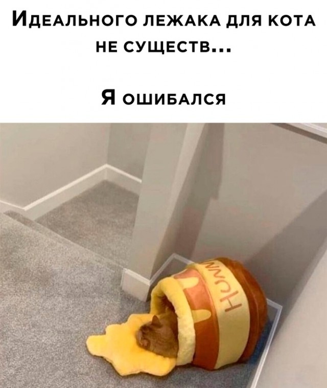 Картинки и мемы для настроения - 17