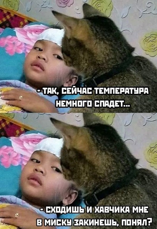 Так себе картинки 19.09.22