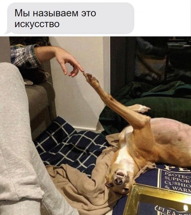 Прикольные и просто красивые картинки 26.09.2022