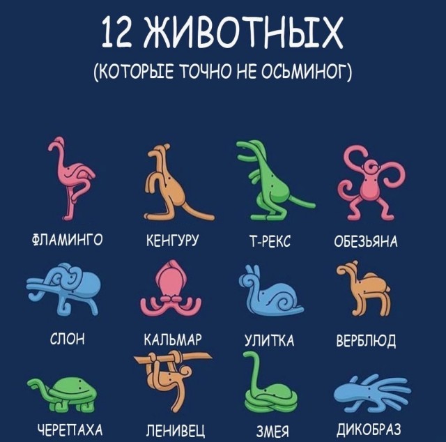 Так себе картинки 21.10.22