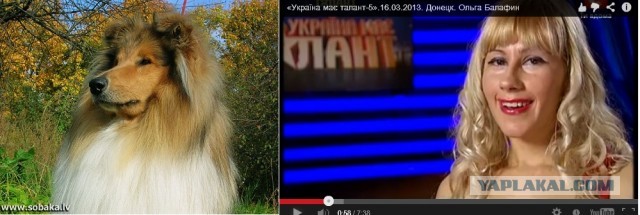 ТП пришла покорять страну