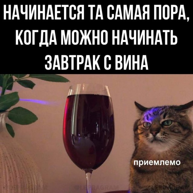 Картинки и мемы, всем хороших выходных