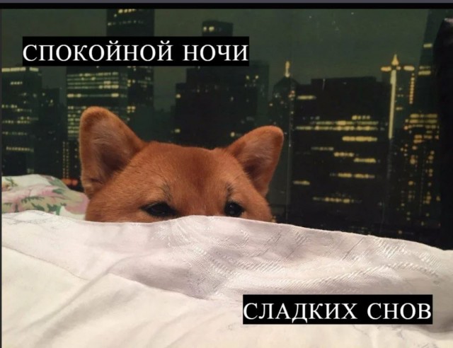 Победная поступь идиотизма по планете – том 6