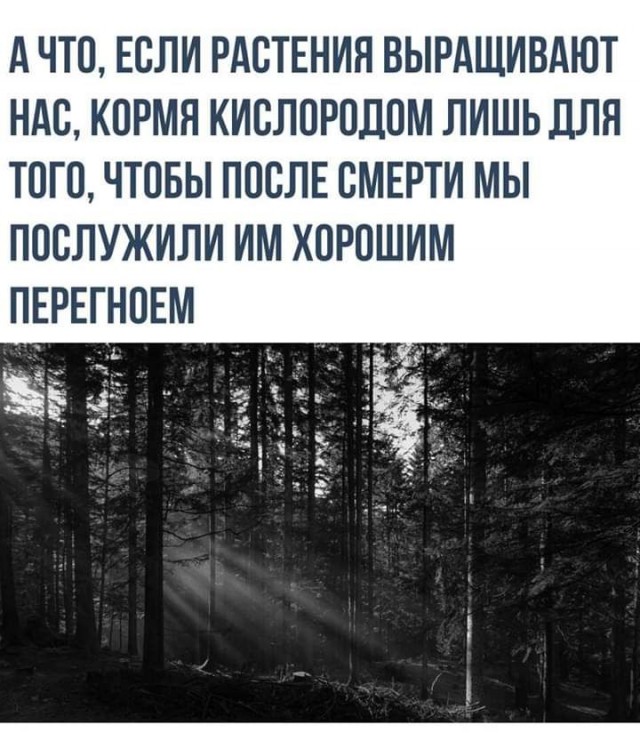 Не смешные глупые картинки