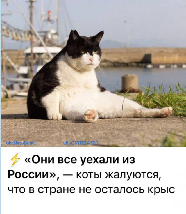 «Двуличная тварь»: народ набросился на Елену Исинбаеву из-за переезда в Испанию
