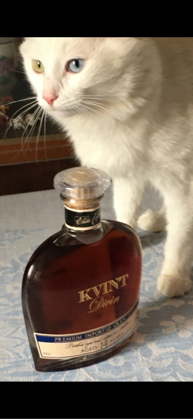 Походу мой кот бухает втихаря