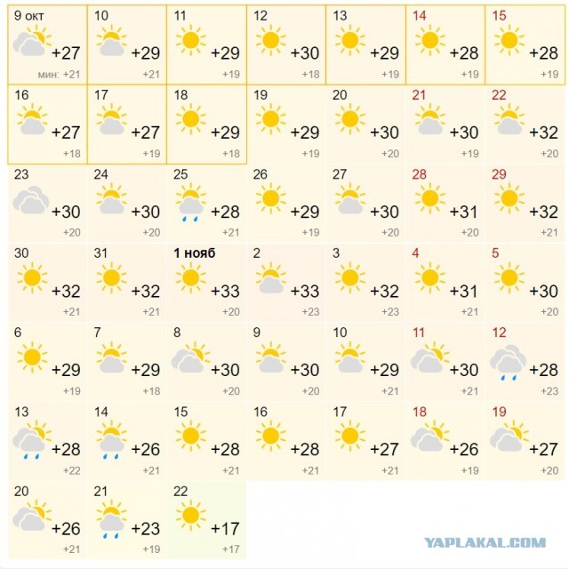 Сбор гуманитарки войскам