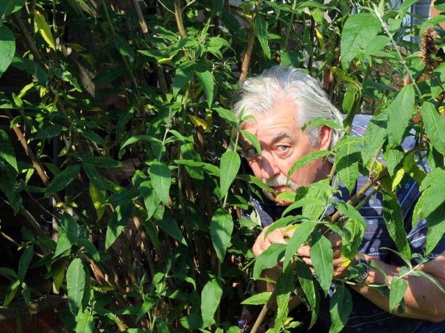 Хочешь узнать, как женщина занимается сексом? Посмотри на то, как она ест