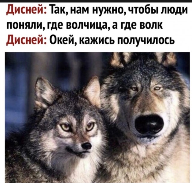 Пьющая красавица: мифы и правда о женском алкоголизме