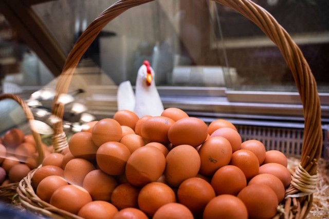 Яйцо сейчас достигает свою «справедливую цену», — директор птицефабрики Андрей Дымов